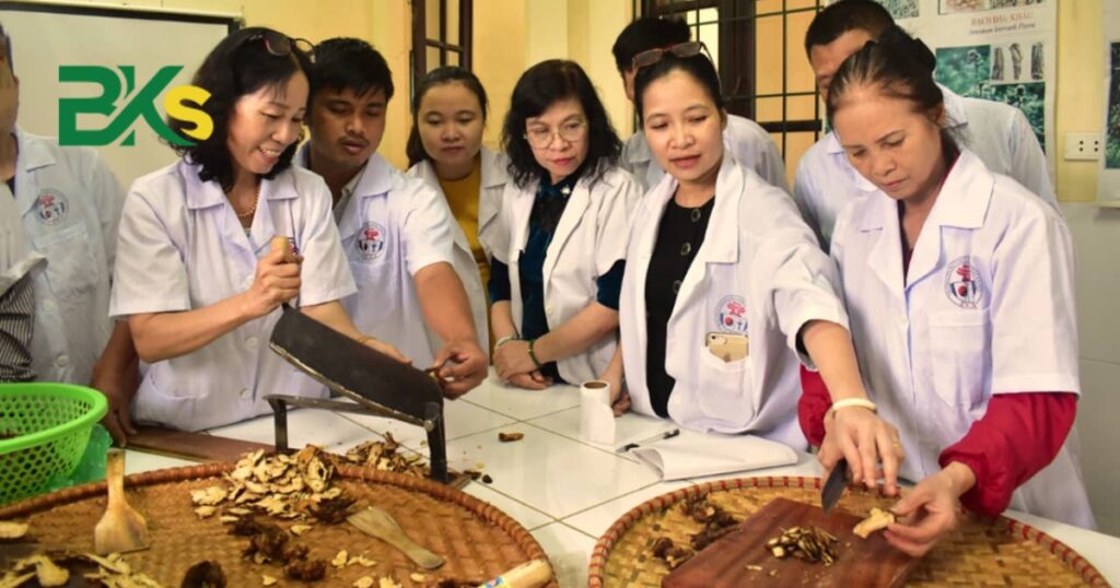 Chương trình học Trung cấp Y học Cổ truyền