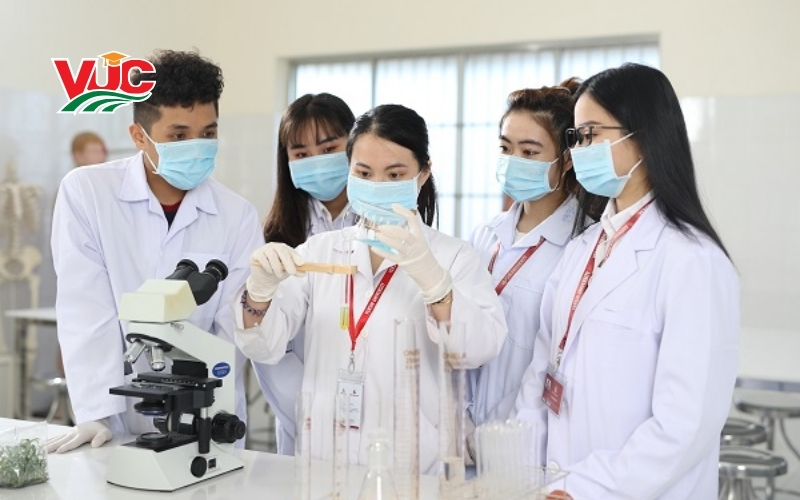 Điều kiện xét tuyển tại các trường Cao đẳng Dược