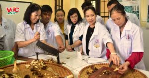 Trung cấp y học cổ truyền