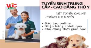 Tuyển sinh Trung cấp Cao đẳng thú y