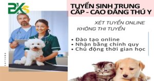 Tuyển sinh trung cấp cao đẳng thú y