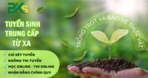Tuyển sinh Trung cấp Trồng trọt và Bảo vệ thực vật