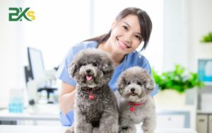 Mục tiêu đào tạo Trung cấp Thú y hệ trực tuyến