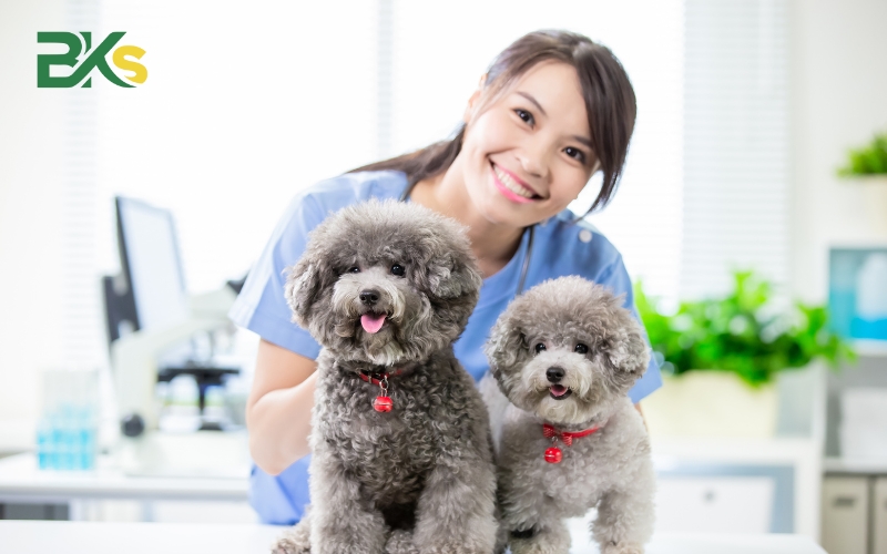 Mục tiêu đào tạo Trung cấp Thú y hệ trực tuyến