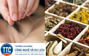 Y học cổ truyền