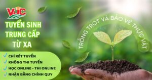 Tuyển sinh Trung cấp từ xa Trồng trọt và bảo vệ thực vật