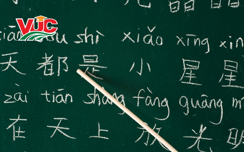Chương trình đào tạo Trung cấp nghề tiếng trung