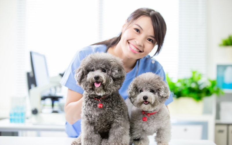 Lợi ích khi học Trung cấp Thú y hệ 9+