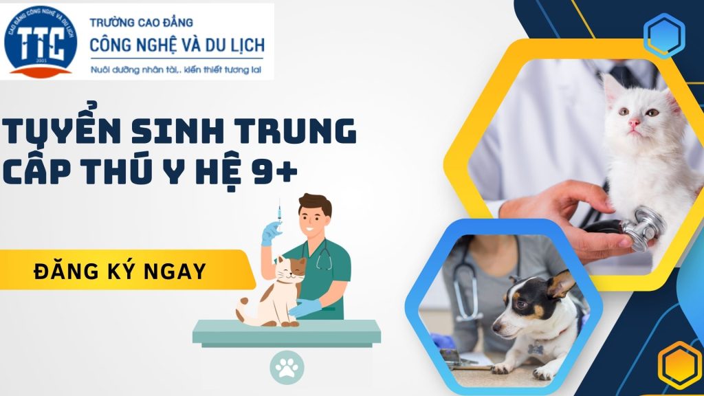 Trung cấp Thú y hệ 9+