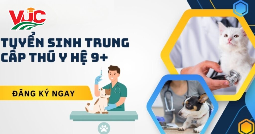 Tuyển sinh Trung cấp Thú y hệ 9+
