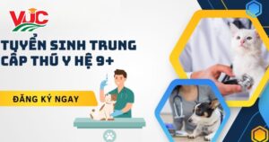 Tuyển sinh Trung cấp Thú y hệ 9+