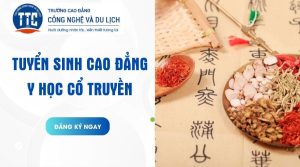 Cao đẳng Y học cổ truyền