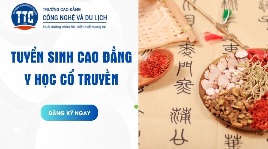 Cao đẳng Y học cổ truyền