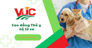 Cao đẳng Thú y hệ từ xa