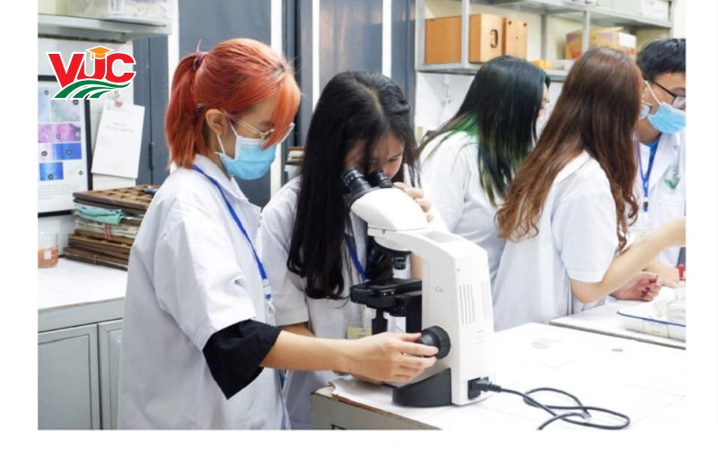 Học Trung cấp ngành Dược sẽ được đào tạo những gì?