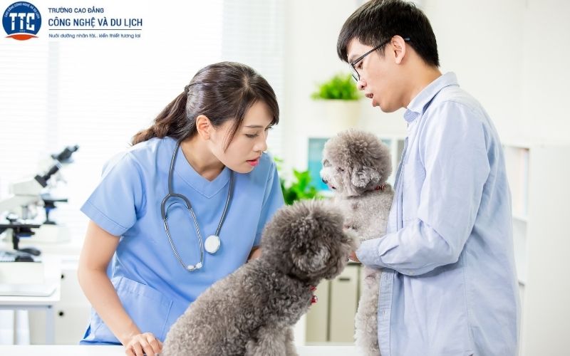 Cao đẳng Thú y sẽ được đào tạo những gì?