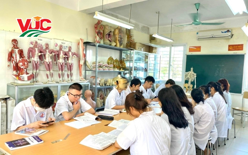 Chương trình học Trung cấp Y học cổ truyền vừa học vừa làm