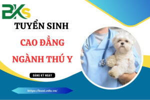Tuyển sinh Cao đẳng ngành Thú y 