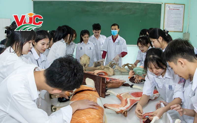 Tuyển sinh Trung cấp Y sĩ đa khoa vừa học vừa làm