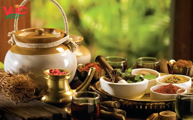Tại sao nên học Cao đẳng Y học cổ truyền