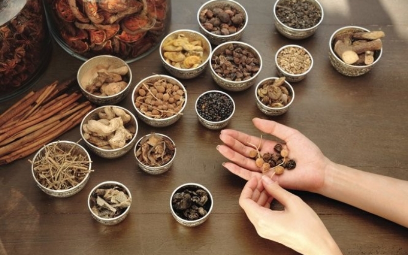 Tại sao nên học Cao đẳng Y học cổ truyền