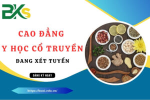 Cao đẳng Y học cổ truyền - Đang xét tuyển