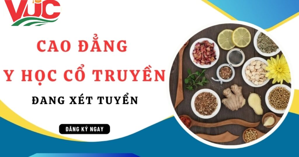 Cao đẳng Y học cổ truyền - Đang xét tuyển