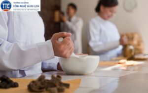 Hiện nay nên học Y học cổ truyền ở đâu là tốt nhất?