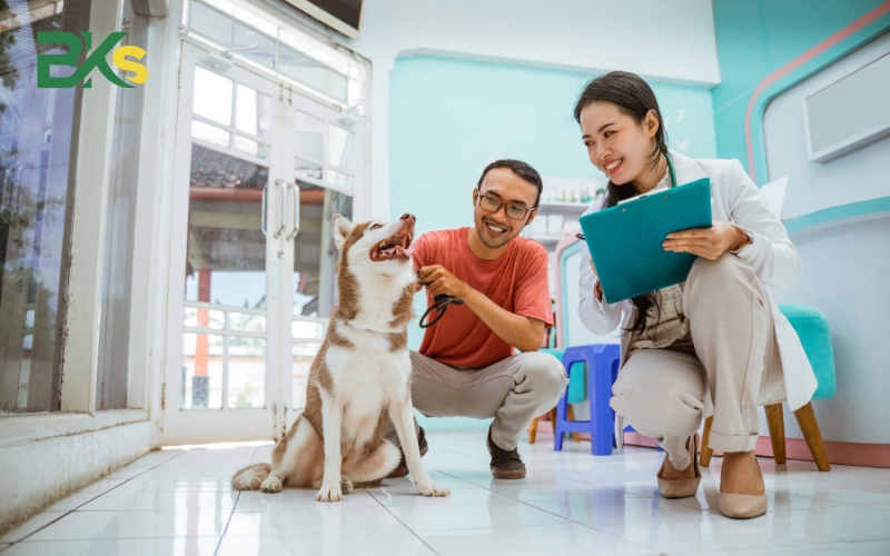 Tuyển sinh Cao đẳng Thú y hệ online - Học phí thấp - Đào tạo ngắn hạn
