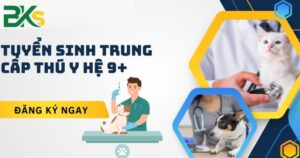 Tuyển sinh Trung cấp thú y hệ 9+