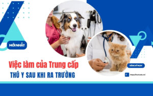 Cơ hội việc làm của Trung cấp Thú y sau khi ra trường
