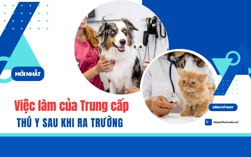 Cơ hội việc làm của Trung cấp Thú y sau khi ra trường