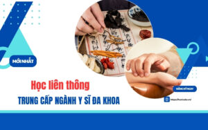 Có nên học Cao đẳng Y học cổ truyền hay không?