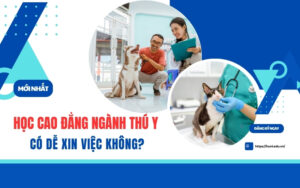 Học Cao đẳng ngành Thú y có dễ xin việc không?