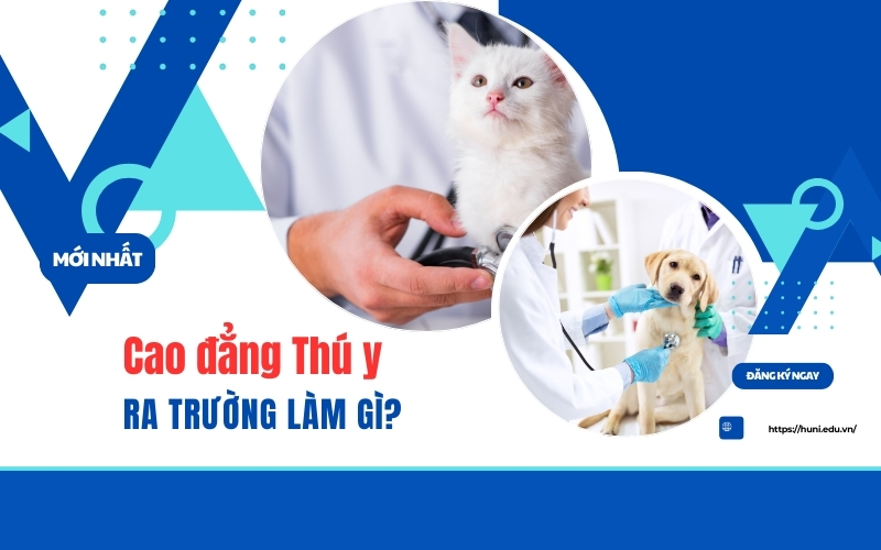 Cao đẳng Thú y ra trường làm gì?