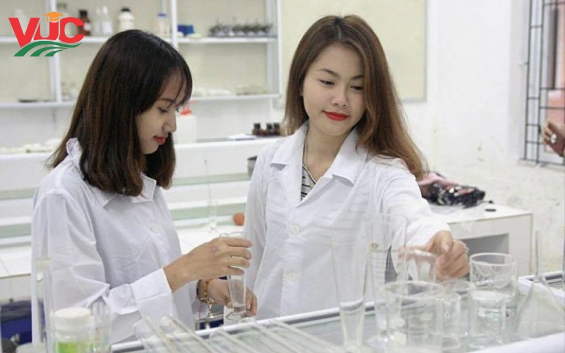 Cao đẳng Dược không bao giờ thiếu việc
