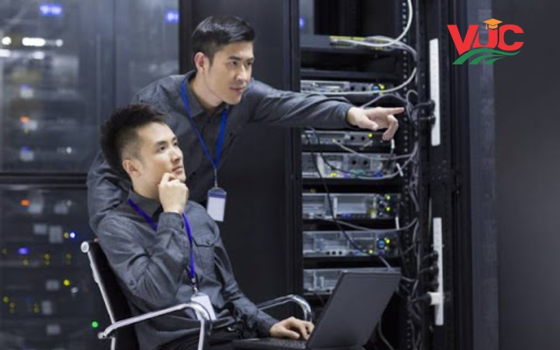 Cơ hội nghề nghiệp sau khi tốt nghiệp Cao đẳng Quản trị mạng máy tính