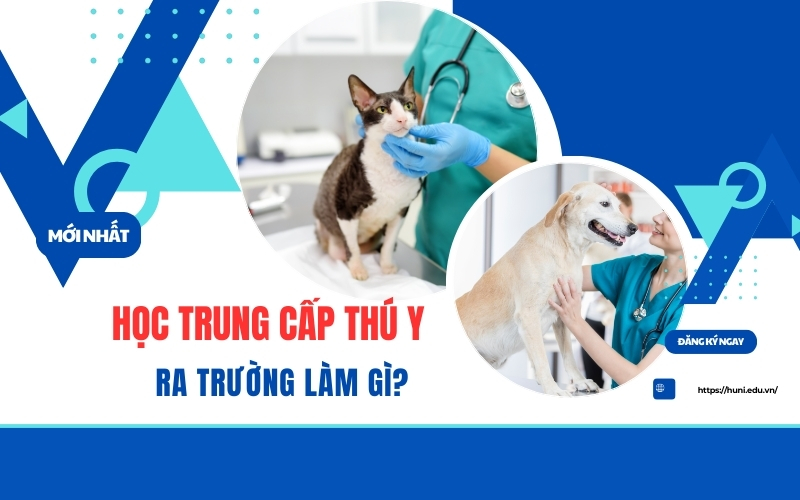 Học Trung cấp Thú y ra trường làm gì?