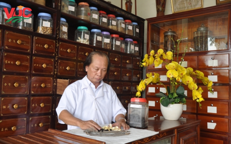 Vậy, có nên học Cao đẳng Y học cổ truyền hay không?