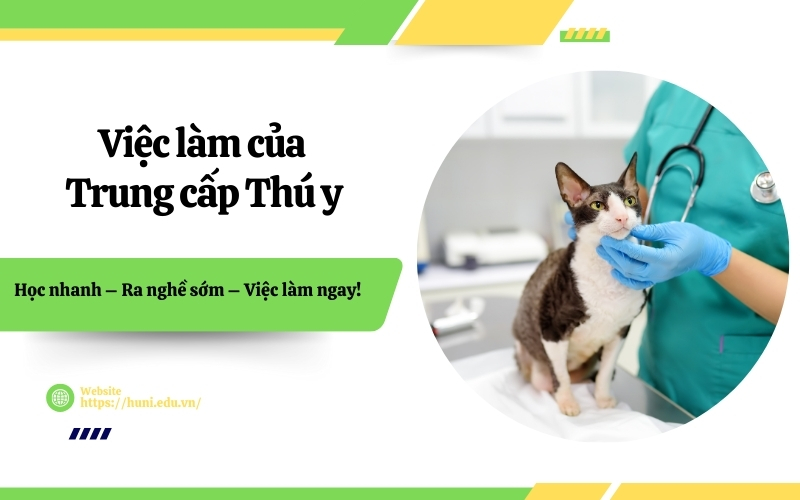 Việc làm của Trung cấp Thú y sau khi ra trường?