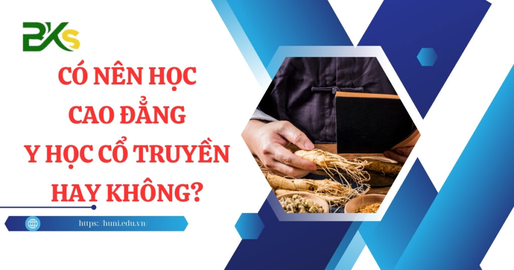 Có nên học Cao đẳng Y học cổ truyền hay không?