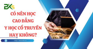 Có nên học Cao đẳng Y học cổ truyền hay không?