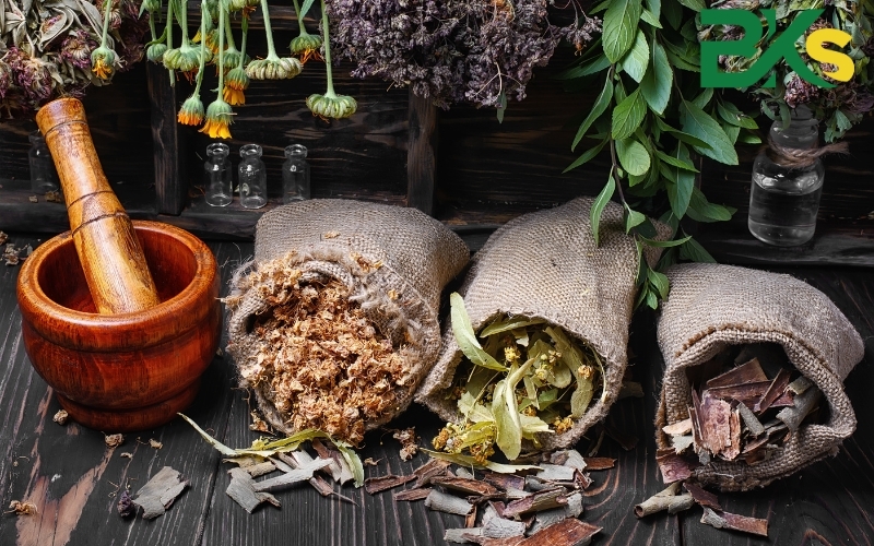 Vậy, có nên học Cao đẳng Y học cổ truyền hay không?