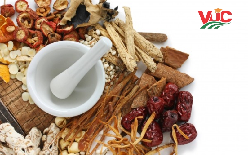 Điều kiện học văn bằng 2 Cao đẳng Y học Cổ truyền