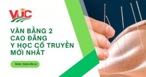 Tuyển sinh Văn bằng 2 Cao đẳng Y học cổ truyền mới nhất