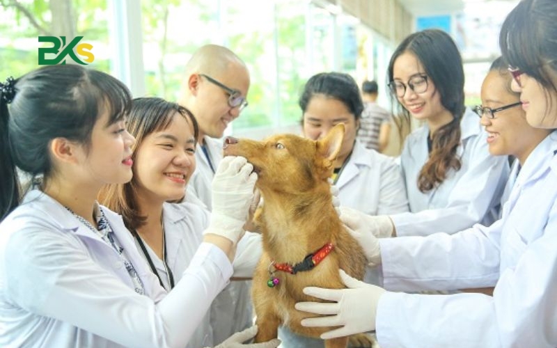 Giá trị văn bằng 2 Trung cập thú y