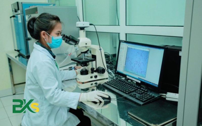 Học Cao đẳng thú y tại Công nghệ Bách Khoa