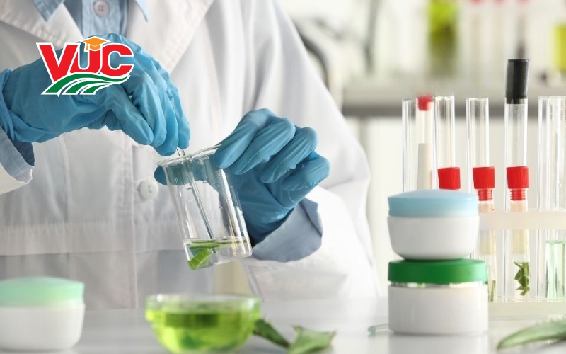 Những yếu tố ảnh hưởng đến văn bằng 2 Trung cấp Dược