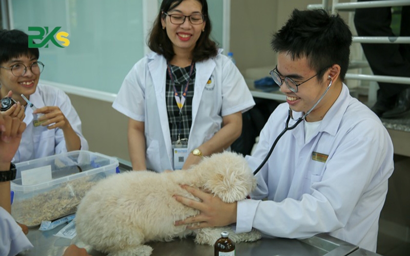 Thông tin tuyển sinh văn bằng 2 trung cấp thú y