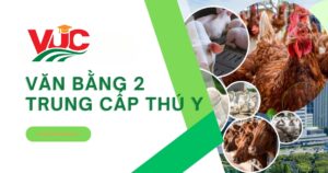 Văn bằng 2 Trung cấp thú y